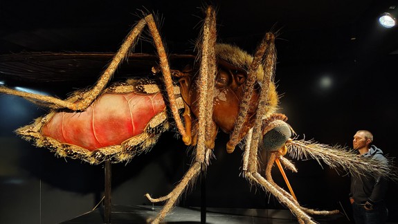 Úžasné, ako vyzerá komár či mravec zblízka. Obrie modely vám ukážu nádherné detaily minitvorov