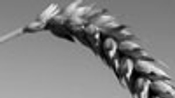 Po ivánskom výlete sa leto už zbláznilo