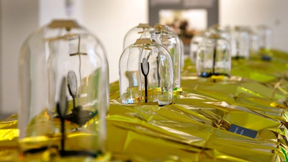 Na Bratislavskom hrade vystavujú poklad, mince v zemi ukryté v roku 1704