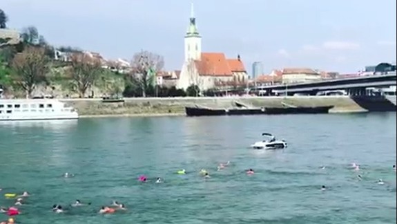 VIDEO: Ľadové medvede sa dnes rozlúčili so sezónou. Plávaním v Dunaji