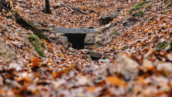 Mestské lesy obnovili ďalšie dve historické studničky v lesoparku