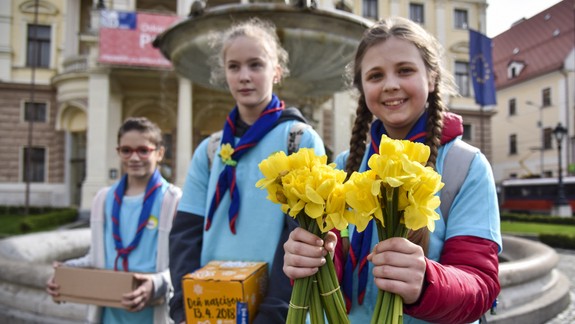 Výnos zbierky Deň narcisov 2018 za hlavné mesto prekonal očakávania. Tipnite si, koľko sa vyzbieralo