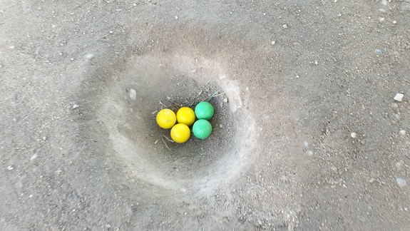 V Dúbravke chystajú turnaj v hre guľôčky - pamätáte si ešte na pravidlá?