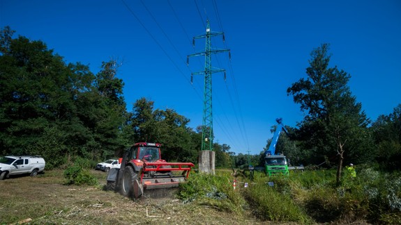 V Pečnianskom lese zrevitalizujú ochranné pásmo pod elektrickým vedením