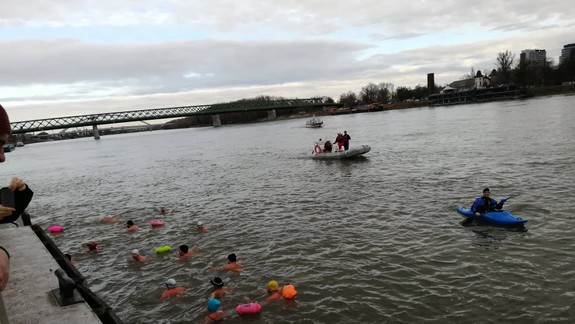 VIDEO a FOTO: Ľadové medvede si opäť zaplávali v Dunaji