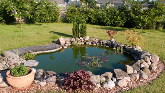 Doprajte si pocit exotického prostredia na vašej záhrade