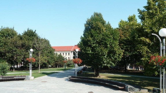 FOTO: Tieto stromy na Kollárovom námestí pomohol zachrániť pred výrubom až Najvyšší súd!