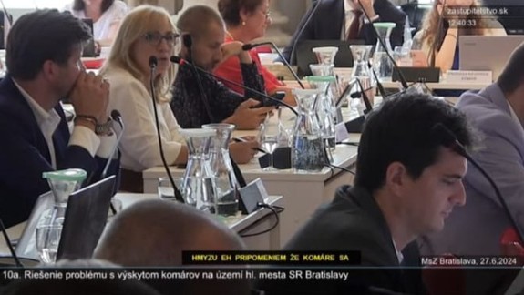 Obyvatelia sú pobúrení a boja sa: Bratislavskí starostovia upozorňujú na hrozivú situáciu s komármi