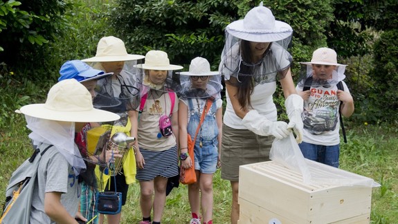 VIDEO: Viete, koľko máme na Slovensku druhov včiel a že aj ony majú svoj deň?