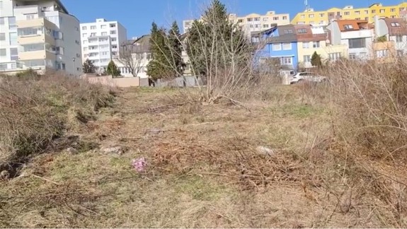 Inšpekcia preveruje výrub drevín v Karlovej Vsi, páchateľovi hrozí vysoká pokuta