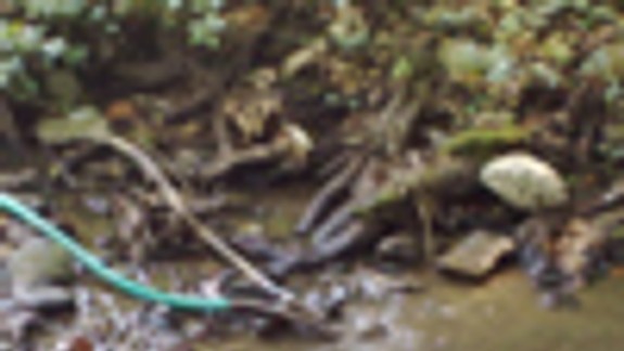 Z Klepáča vytekali výkaly do potoka 