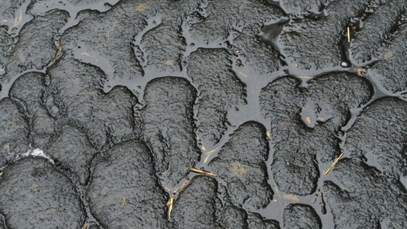 Gudróny z Devínskej Novej Vsi celkom vyťažia