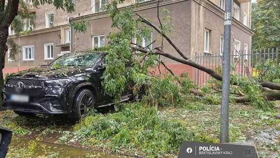 Na autá padali stromy: V Bratislavskom kraji zasahovali hasiči pre počasie 14-krát