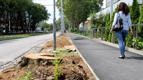 Výrub na Trenčianskej pobúril ľudí