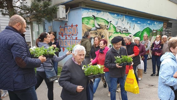 FOTO: Dúbravka bude pestrejšia. Obyvateľom rozdali letničky