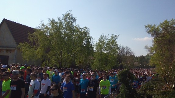 FOTO: Národný beh Devín - Bratislava zlomil rekord v počte účastníkov