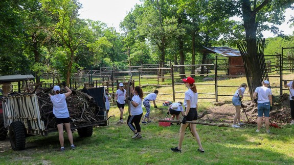 V zoo si zamakali dobrovoľníci, upratali výbehy, lesnú cestu, okolie jazdiarne a žirafinca