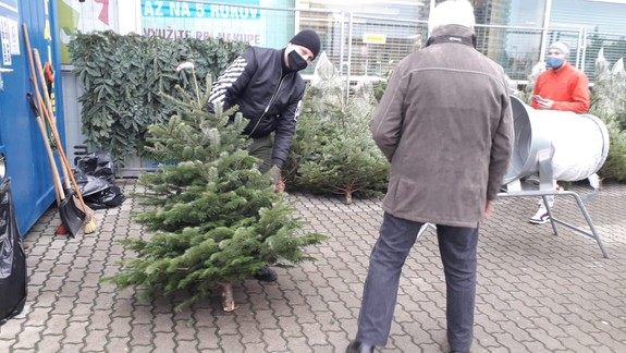 FOTO a VIDEO: V Bratislave sa už rozbehol predaj vianočných stromčekov - kde sa vám ho najviac oplatí kúpiť?