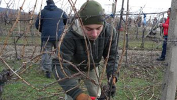 V reze viniča v sobotu súťažili takmer tri desiatky vinárov