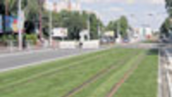 Koľaje na Záhradníckej ulici zatrávnili