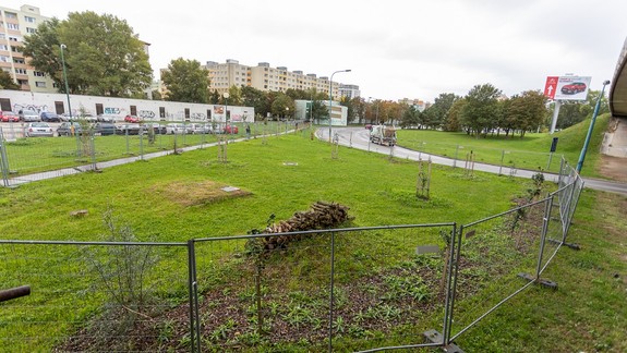 Mesto plánuje osadiť hniezdne veže pre lastovičky a belorítky