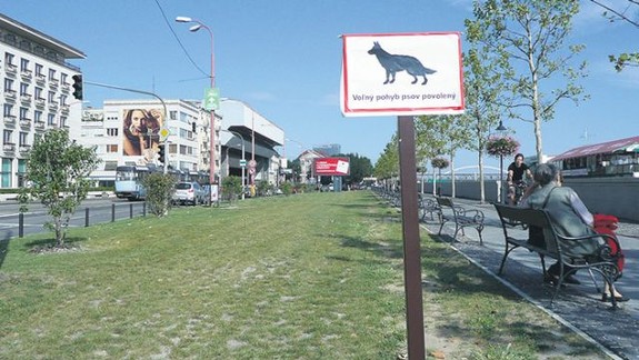 Psíčkari: Staré Mesto opäť bezplatne ponúka vrecká na psie exkrementy