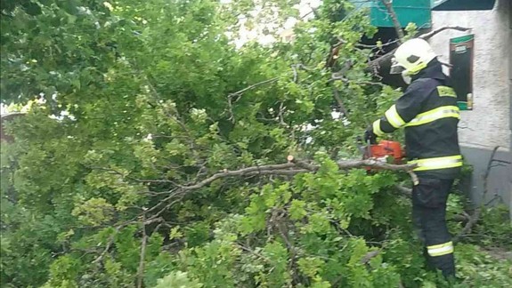 Výčiny vetra: Hasiči najviac zasahovali v Bratislavskom kraji