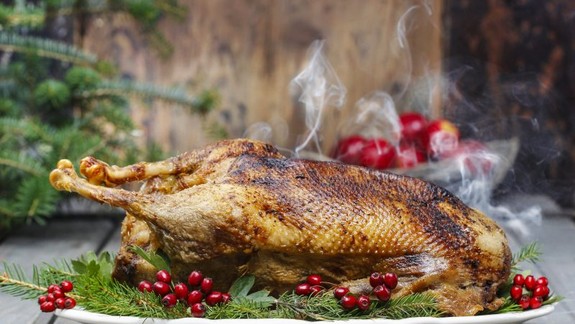 Kam na dobrú husacinu? Tu je TOP 5 našich tipov