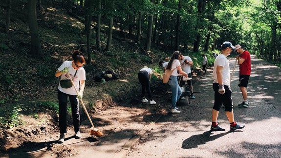Mestské lesy privítali v roku 2025 približne 1300 dobrovoľníkov