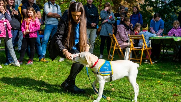 V Pezinku prebieha sústredenie pre nevidiacich s vodiacimi psami