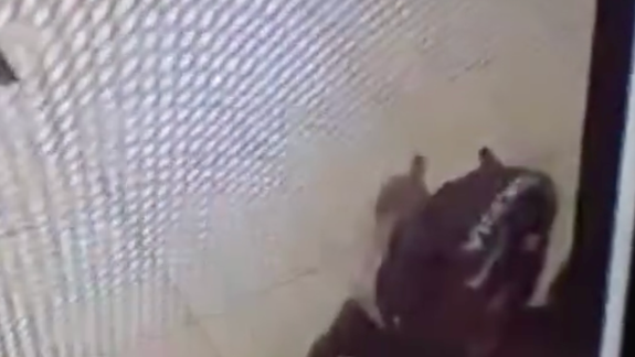 Agresívna Erika na Panónskej: Muža udrela päsťou do tváre a ukradla mu okuliare