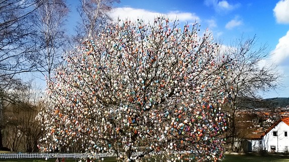 Dúbravka privíta Veľkú noc kraslicovými stromami