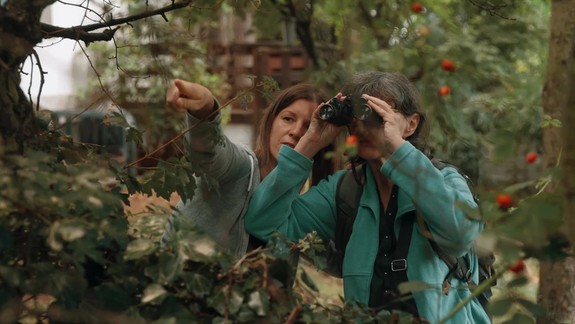 Do kín prichádza nový slovenský film Vtáčnik, premiéru bude mať 15. augusta 2024