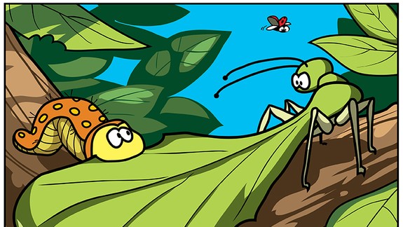 Nájdi 10 rozdielov (časť 20.)