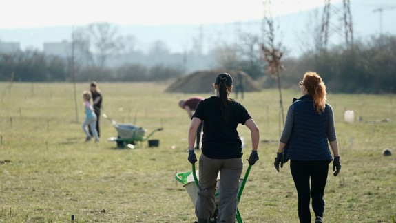 V Bratislave cez víkend vysadili vyše 450 sadeníc a 60 vzrastlých stromov
