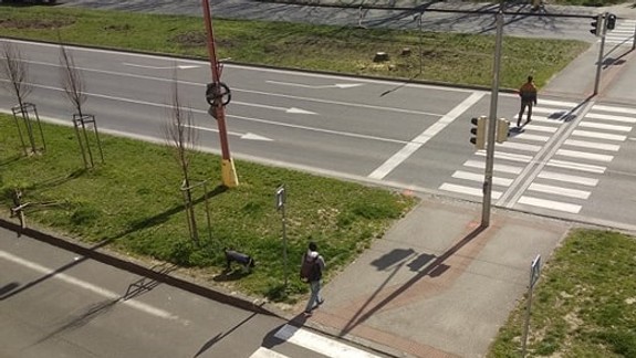 Ľudia, ktorí chodia venčiť psov, by sa vonku nemali družiť...