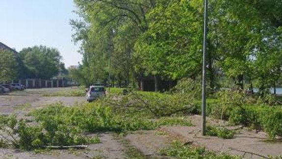 Pre silný vietor padali desiatky stromov a pútačov