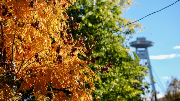 FOTO: Bratislava je na jeseň krásna. Farebné stromy a azurová obloha