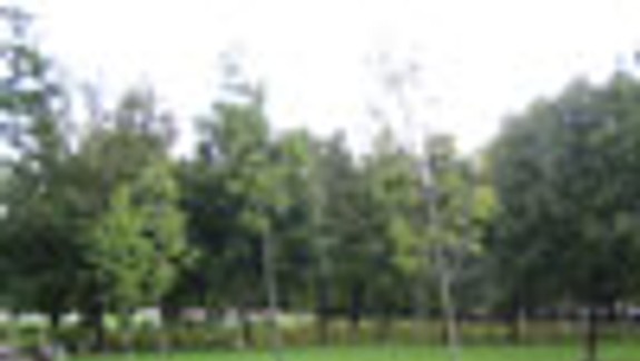 Park na Račianskom mýte v sobotu vyčistia