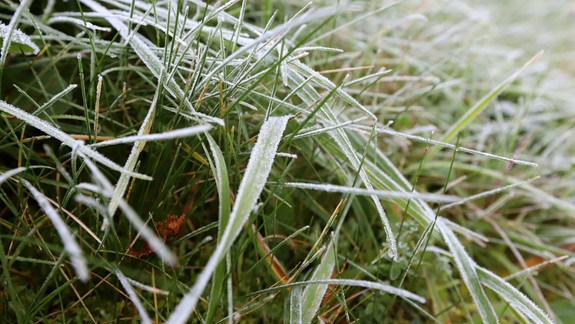 Meteorológovia varujú: Treba počítať s mrazom