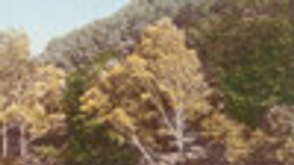 V nedeľu otvoria na jazere požičovňu člnkov