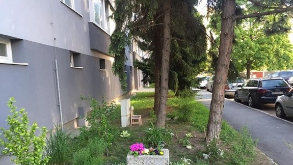 FOTO: Aj takto pekne môže vyzerať najbližšie okolie pri paneláku