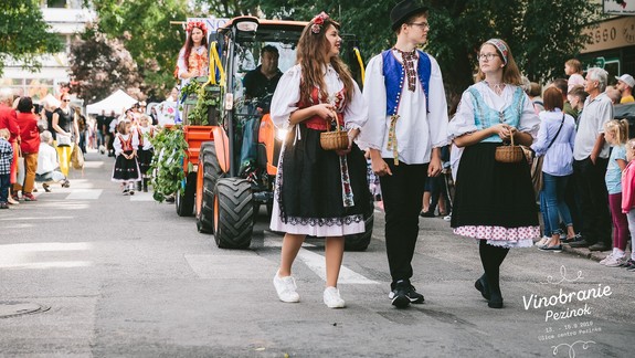 Vinobranie v Pezinku i tento rok spojí vinohradnícku tradíciu s kultúrou a hudbou