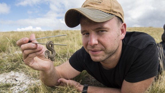 Viete, kedy vás zmija nepohryzie? Herpetológ Daniel Jablonski nám prezradil úžasné zaujímavosti zo sveta plazov