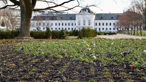 Grasalkovičovu záhradu opäť otvárajú pre verejnosť, pripravený je i sprievodný program