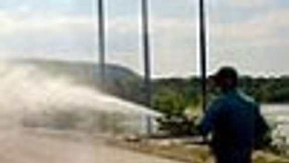 Petržalka pripravuje postreky proti komárom