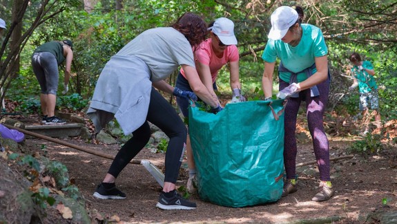 Pomôžte neziskovkám a pridajte sa k dobrovoľníkom, Zelené dni sú ideálnou príležitosťou
