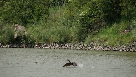 Vznik Národného parku Podunajsko podporili aj mestskí poslanci. Tu sú ich argumenty