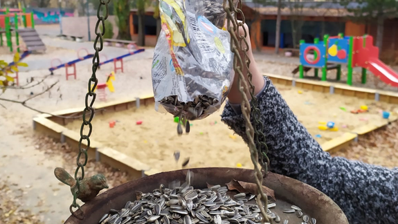 Z napájadiel sú vtáčie kŕmidlá: Nájdete ich na viacerých miestach v Dúbravke