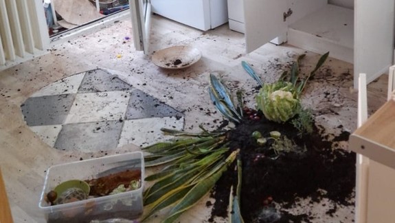 Muž vyhodil z bytu ženu aj s deťmi, z balkóna vyhadzoval i nábytok. Na kukláčov si už netrúfol